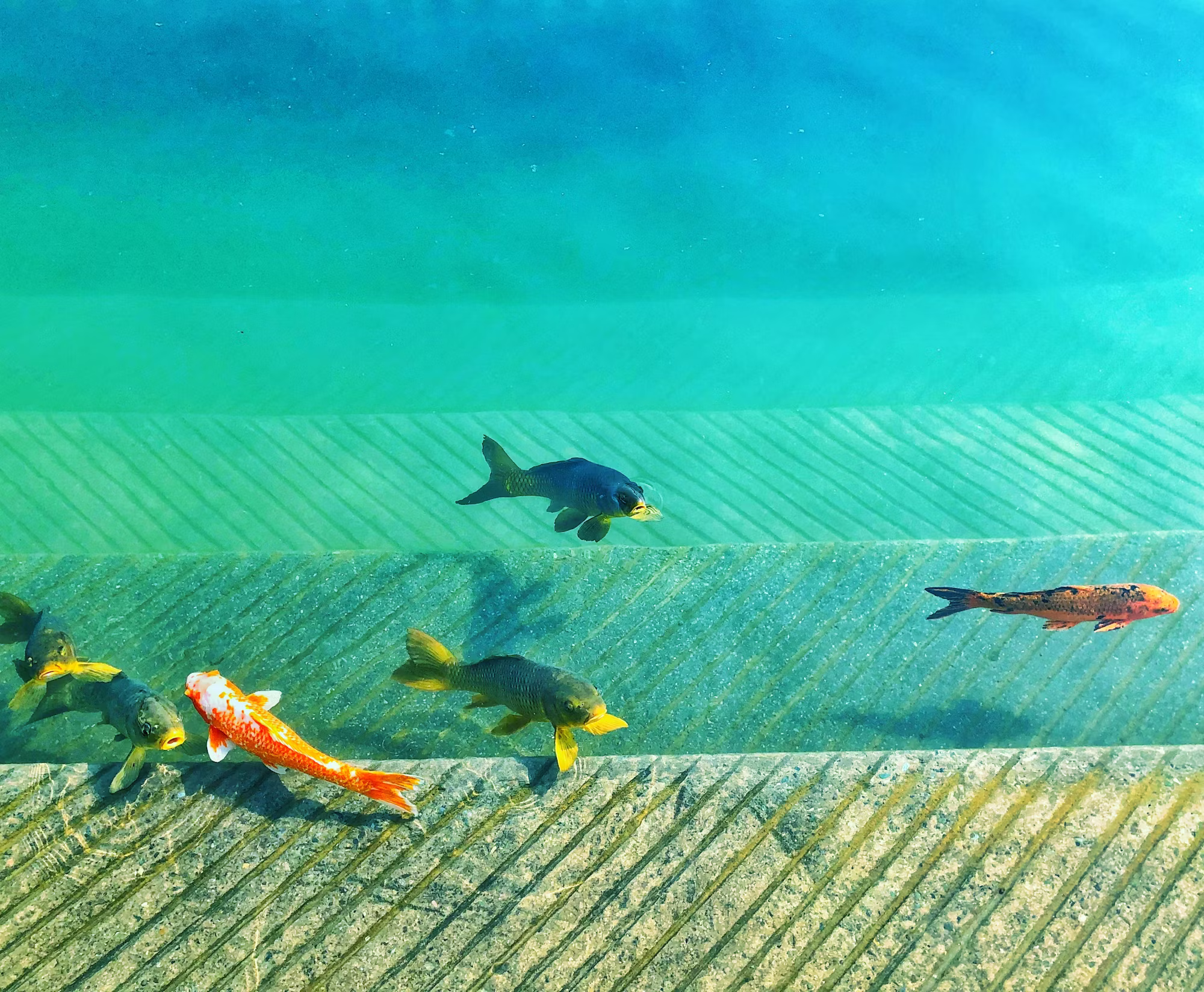 Hidden Gems: Discovering Lesser-Known Travel Destinations